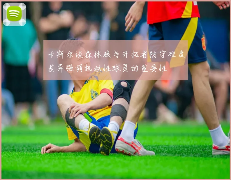 卡斯尔谈森林狼与开拓者防守难度差异强调机动性球员的重要性