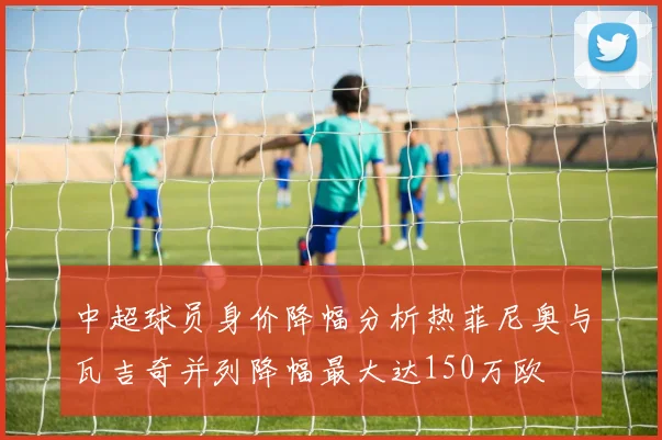 中超球员身价降幅分析热菲尼奥与瓦吉奇并列降幅最大达150万欧