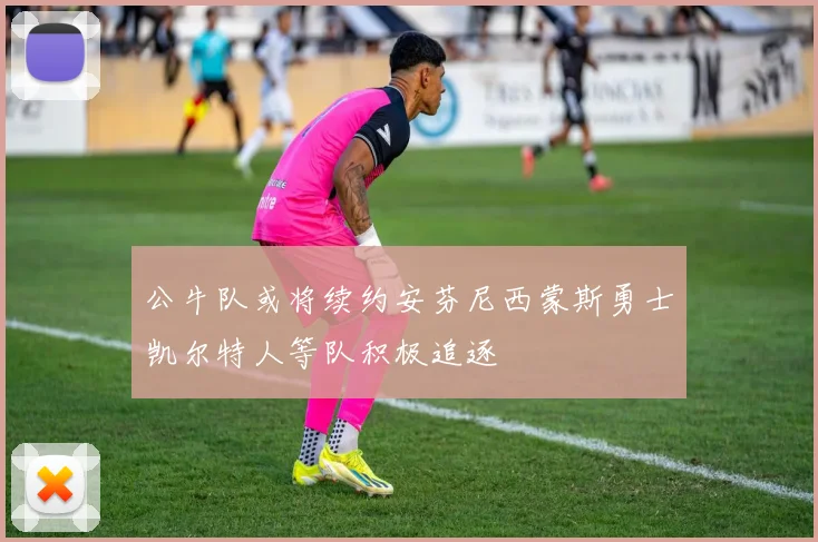 公牛队或将续约安芬尼西蒙斯勇士凯尔特人等队积极追逐